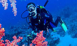 Lifestyle - Cozumel, Scuba Dive